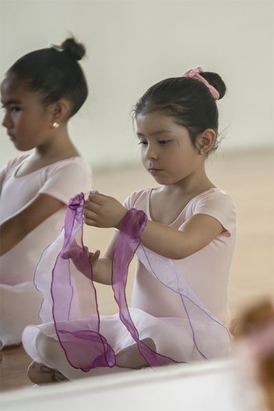 academia de ballet   en coyoacan